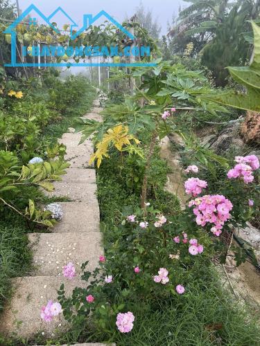 Bán homestay nghỉ dưỡng tại Bảo Lộc, view săn mây - 4