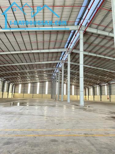 CHO THUÊ KHO 3.800M² TẠI BÌNH HÒA, THUẬN AN, BÌNH DƯƠNG - VỊ TRÍ ĐẮC ĐỊA, PCCC ĐẠT CHUẨN - 2