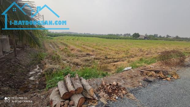 Bán lô đất lúa chuyển thổ hai mặt tiền Xã Đức Tân giá 7 tỷ - 4