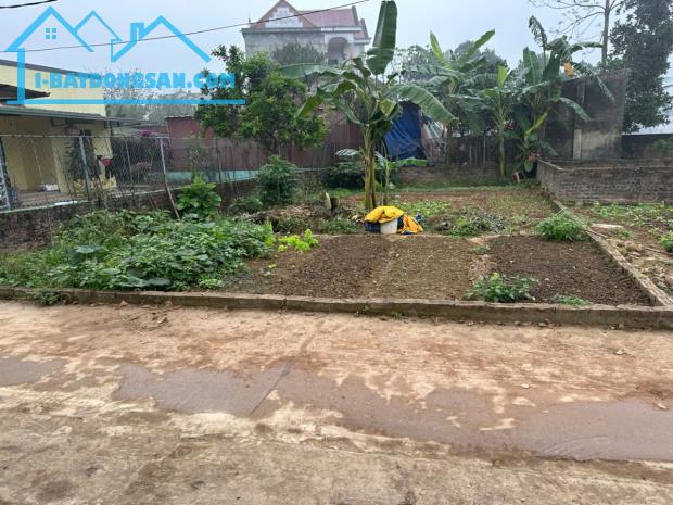 1x tỷ có 115m2 mặt tiền 7.6m thủy Xuân tiên chương Mỹ HN - 3