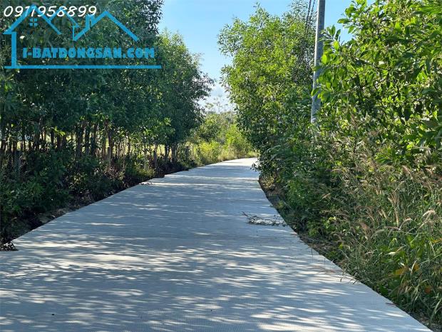 Bán đất thổ cư Hẻm Lý Nam Đế, Tân Phước, Thị xã LaGi giá ngộp 750 triệu - 2