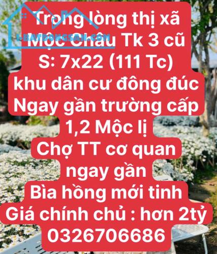 LÔ ĐẤT KHỦNG TẠI MỘC CHÂU - 2