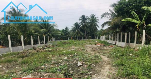 Bán 1,8công mặt tiền quốc lộ 1A,Nhị Bình,Châu Thành,Tiền Giang - 1
