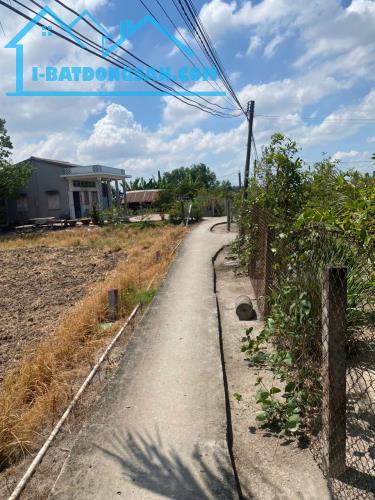Bán 341 Đất Thổ Long Hoà Cần Đước Giá 2tr/m - 2
