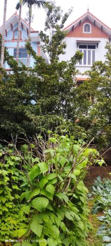180m2 ĐẤT CHA ÔNG ĐỂ LẠI, PHƯƠNG CANH, NAM TỪ LIÊM, Ở sướng, xây CHDV ĐỈNH - 1