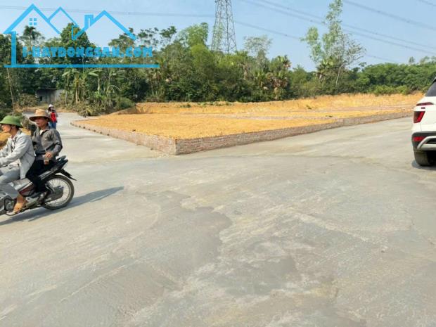Giá cực SỐC chỉ 3xx 200m2 Bắc Sơn-Tam Nông - 3
