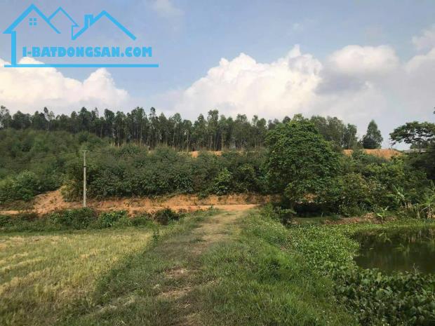 Chuyển hướng kinh doanh gia đình cần nhượng lại hơn 7000m2 - 1