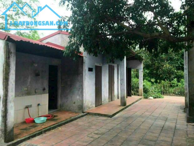 Chuyển hướng kinh doanh gia đình cần nhượng lại hơn 7000m2 - 2