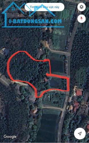 Chuyển hướng kinh doanh gia đình cần nhượng lại hơn 7000m2 - 3