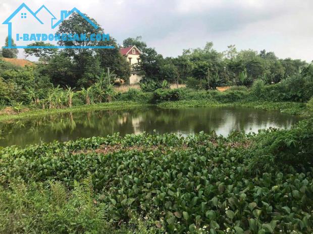 Chuyển hướng kinh doanh gia đình cần nhượng lại hơn 7000m2 - 4