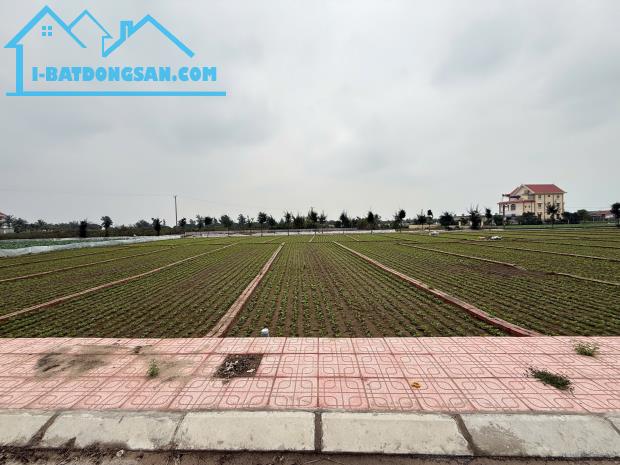 Chỉ từ 8 triệu/m2 bán đất trung tâm thị trấn Quất lâm giao thủy gần quảng trường biển