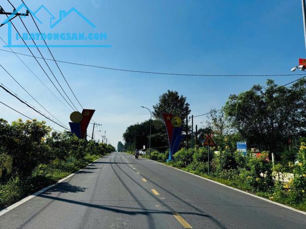 Bán Đất Mặt Tiền Xã Văn Cội Củ Chi, Diện Tích 121m2, Sổ Hồng Riêng - 3