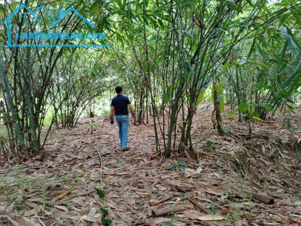 Đầu Tư Đất Hoà Vang 2,6Ha - Mặt Tiền Sông, Gần Các Tuyến Giao Thông Chính - 2