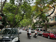 Cho thuê nhà Mặt Phố Hàm Long kinh doanh 4 tầng, 28m2, vỉa hè 3m,