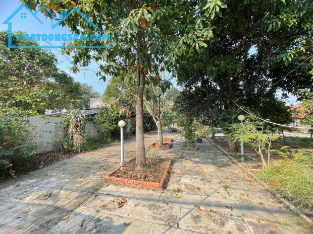 Bán đất đường Tỉnh Lộ 15 - 914m2 - 10x85 - 150m2 thổ cư - xã An Phú - Củ Chi - 1