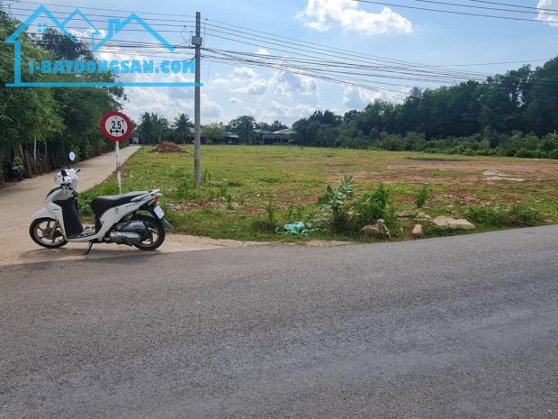 ĐƯỜNG NHỰA 15X60=900M2 SỔ RIÊNG, THỔ CƯ, ĐƯỜNG 42M DÂN ĐÔNG GIÁ 92TR