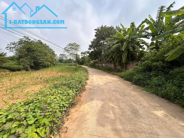SIÊU PHẨM ĐẦU TƯ! 5 LÔ ĐẤT VỊ TRÍ ĐẸP, HẠ MẠO, TX. PHÚ THỌ - Ô TÔ - CHỈ 2,3 TỶ - 1