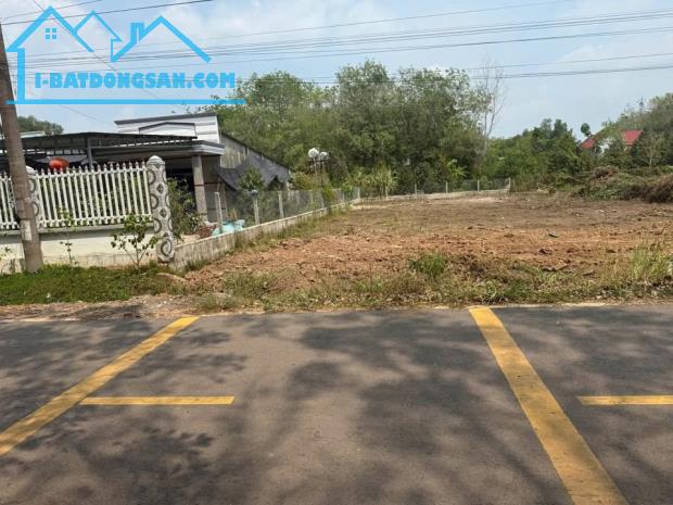 Bán lô gốc MT (1.600m2) full SHR, giá 450 triệu sát KCN, trường chợ, trung tâm sầm uất nhấ - 2