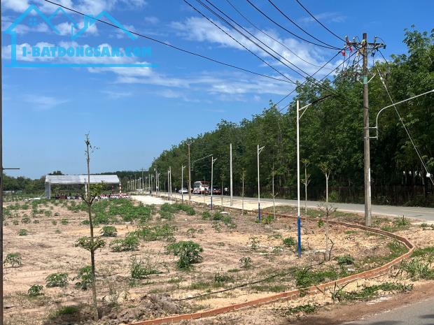 5x56 sẵn 100m2 thổ cư Trừ Văn Thố, Bàu Bàng giá rẻ - 2
