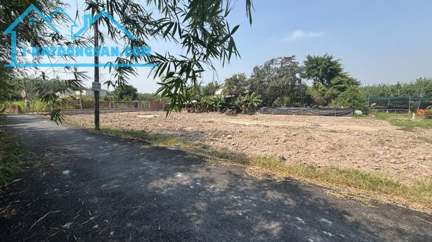 Bán gấp lô đất 200 m2 mặt tiền đường nhựa Hương Lộ 2,  Lộc Hưng, Trảng Bàng, Tây Ninh.Bán - 1