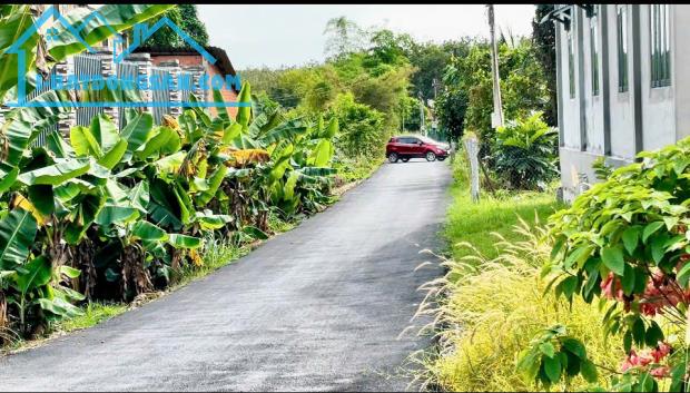 Bán gấp lô đất 200 m2 mặt tiền đường nhựa Hương Lộ 2,  Lộc Hưng, Trảng Bàng, Tây Ninh.Bán - 3