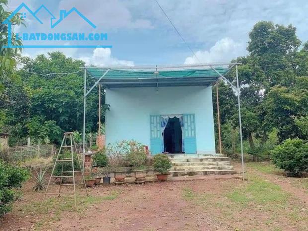 cần bán gấp mảnh 915m2 có suối, 100m thổ cư, đường nhựa, sổ hồng - 1