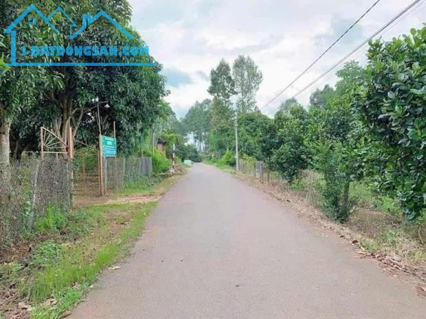 cần bán gấp mảnh 915m2 có suối, 100m thổ cư, đường nhựa, sổ hồng