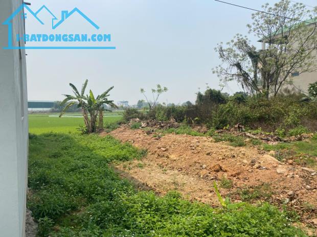 Chính chủ cần bán 120m² đất  đấu giá tại Quế Nham, Tân Yên, Bắc Giang - 3