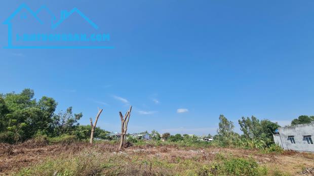 bán gấp 1064m2 có 100m thổ cư gần biển cam bình, tân phước, lagi, giá rẻ - 1