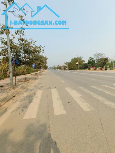 Bán đất mặt đường Nguyễn Tất Thành 340m2 - MT 16m - 35tr/m2 - 3