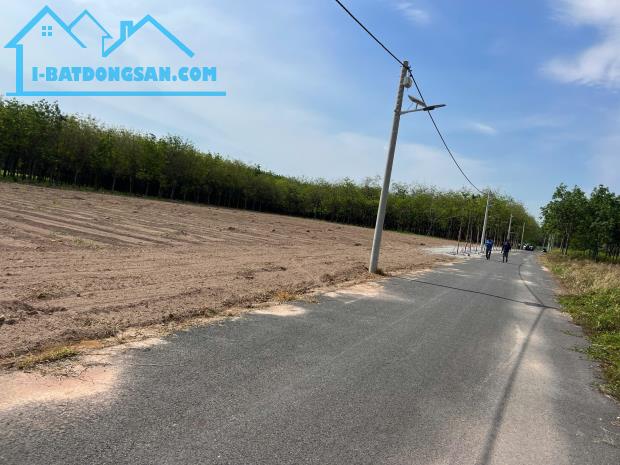CẦN BÁN GẤP LÔ ĐẤT NỀN TẠI TRUNG TÂM TP. BẾN CÁT
