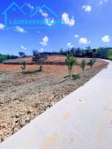 Cần Bán Lô Đất Đẹp Xã Đông Thanh, Huyện Lâm Hà, Lâm Đồng. - 1