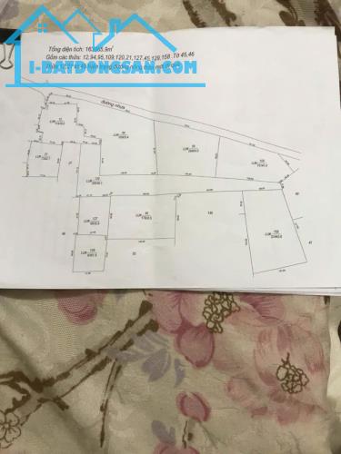 NGỘP BANK GẤP BÁN ĐẤT MẶT TIỀN ĐƯỜNG NHỰA XÃ NINH ĐIỀN --CHÂU THÀNH --TÂY NINH --163065M2 - 3