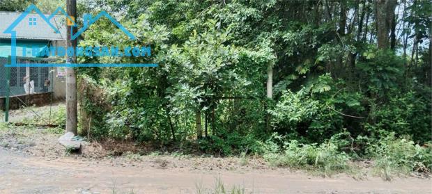 ĐẤT ĐẸP - GIÁ TỐT- Chính Chủ Cần Bán Gấp Lô Đất Tại Xã Phú Hòa Đông, Củ Chi, Hồ Chí Minh - 2