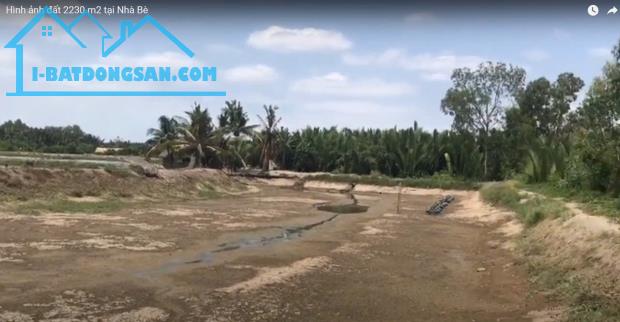 Chính chủ Bán đất cây lâu năm xã Nhơn Đức, Nhà Bè gần trường đại học thể thao HCM - 4