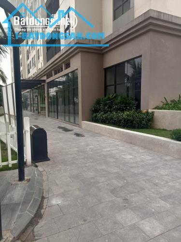 Bán gấp shophouse chân đế tòa D