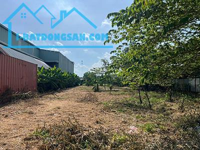 SIÊU RẺ- BÁN ĐẤT, DT: 1.560M2 MẶT TIỀN ĐƯỜNG BẢY TẤN, XÃ AN PHÚ TÂY, HUYỆN BÌNH CHÁNH, HCM