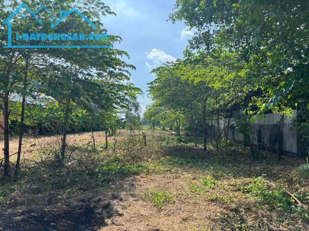 SIÊU RẺ- BÁN ĐẤT, DT: 1.560M2 MẶT TIỀN ĐƯỜNG BẢY TẤN, XÃ AN PHÚ TÂY, HUYỆN BÌNH CHÁNH, HCM - 1