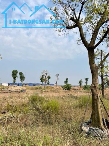 📌HÓT HÓT Xuân Trạch Xuân Canh 50 m -Đông Anh   📌20M Ô TÔ TRÁNH - NGỎ NÔNG - -200M RA VIN - 1