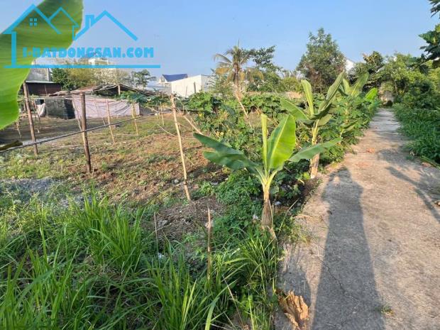 CHÍNH CHỦ Cần Bán THỬA ĐẤT -Giá Yêu Thương - 3