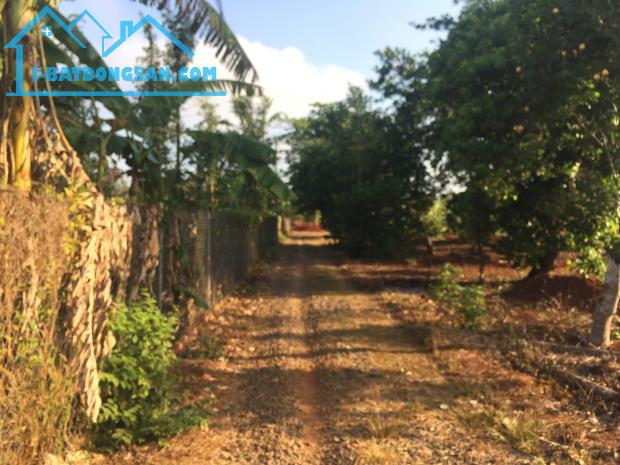 Cơ Hội Đầu Tư Sinh Lời Cao Tại Xã Đá Bạc, Huyện Châu Đức, Bà Rịa – Vũng Tàu

Vị trí vàng