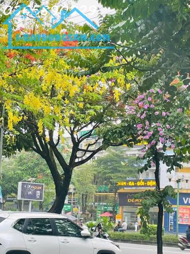 CHO THUÊ NHÀ TỪ TẦNG 1 ĐẾN TẦNG 3 SHOPHOUSE VẠN PHÚC, HÀ ĐÔNG - 2