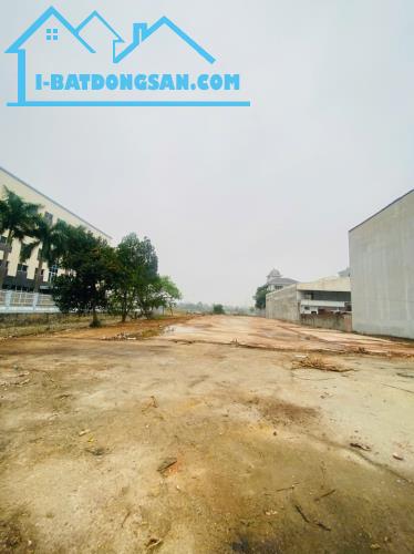 Bán ô đất thương mại dịch vụ mặt Nguyễn Tất Thành, Vĩnh Yên - 1