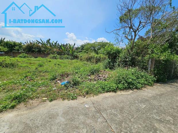 Bán đất Diên Phước giá rẻ full thổ cư đường thông - dân cư đông - 1