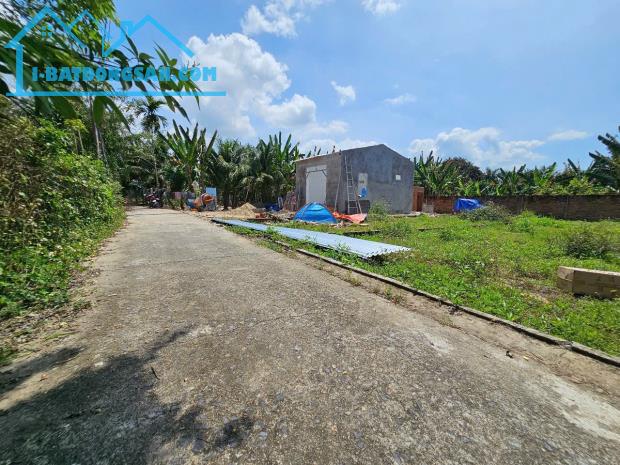 Bán đất Diên Phước giá rẻ full thổ cư đường thông - dân cư đông - 2