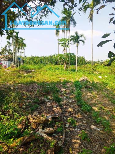 Chủ kẹt tiền cần bán lô đất tại MT đường DX 017 có 1000 m² đất ở., Cẩm Thanh giá 18 tỷ - 3