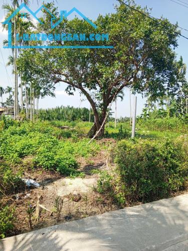 Chủ kẹt tiền cần bán lô đất tại MT đường DX 017 có 1000 m² đất ở., Cẩm Thanh giá 18 tỷ