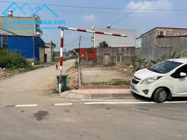 Đất trục chính Văn cú , An Đồng , An Dương - vị trí kinh doanh buôn bán - 2