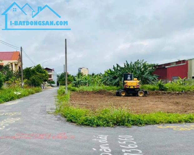 Lô góc ĐẸP chung cư Cách Thượng, Nam Sơn, An Dương. 288m2- 5,5 tỷ - 1