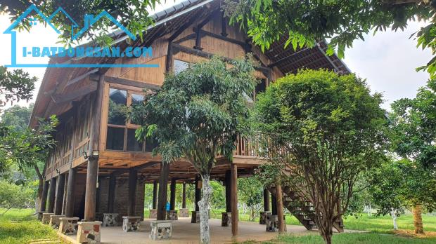 Bán đất Quốc Oai, Hà Nội, giáp mặt hồ lớn, 3 mặt tiền, giá chỉ 6,5 triệu/m2 (có thổ cư)